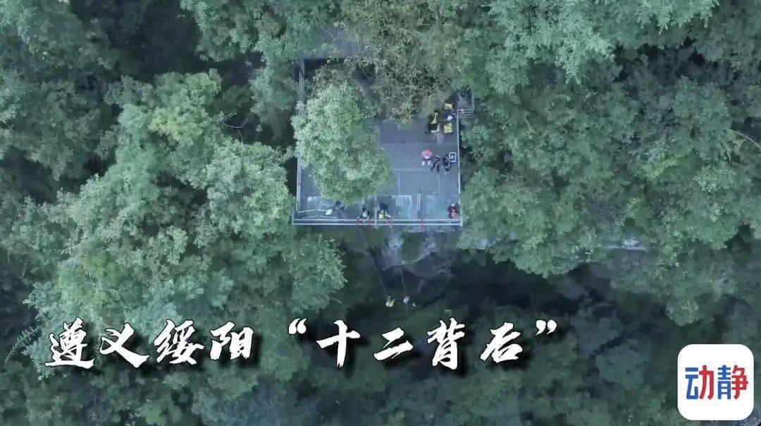 我也是聚众赌博中一员，是我报警的，现在公安定成刑事案件了，我会不会被刑事拘留？游戏画面